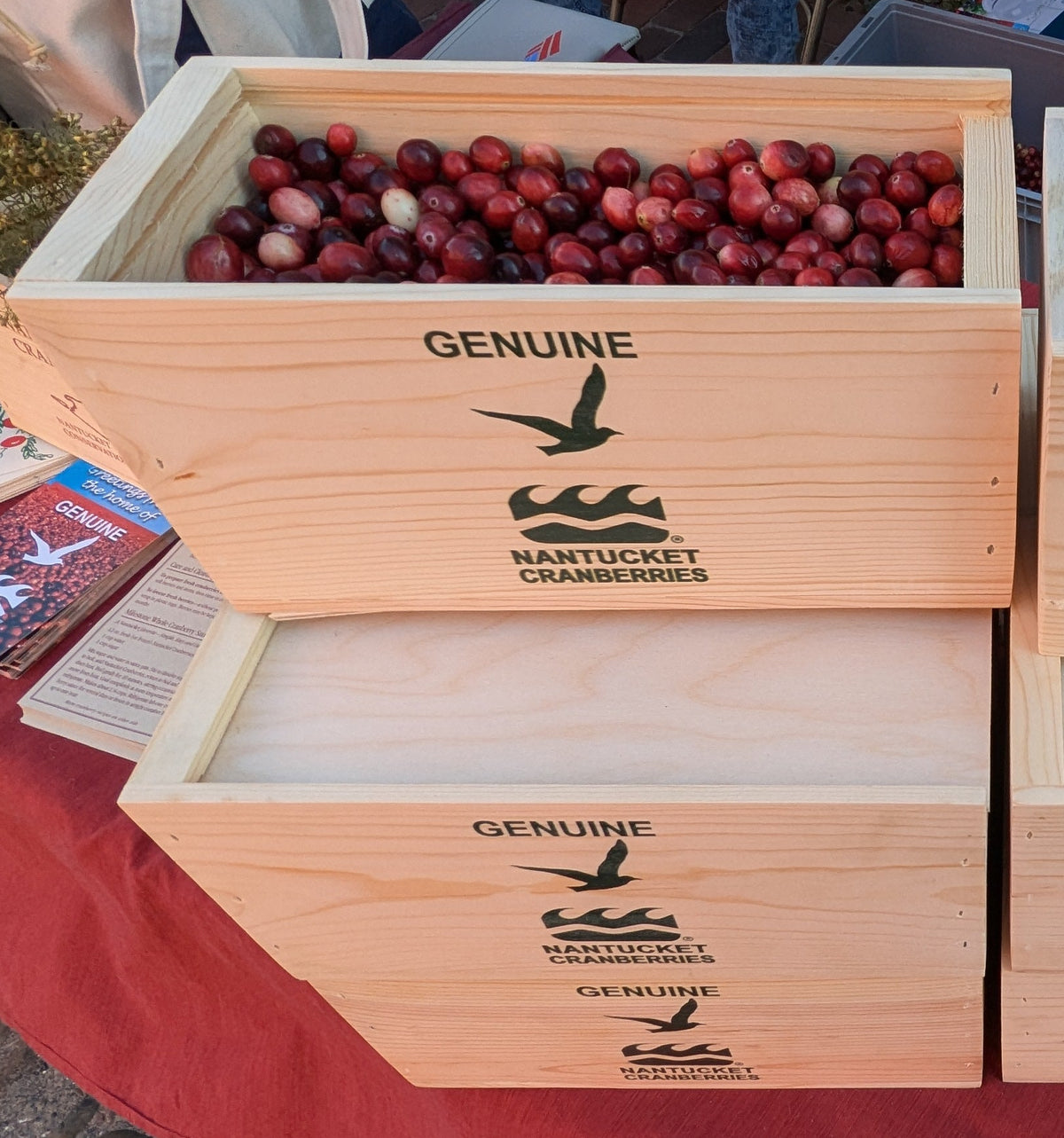 Cranberries 3 LB Box with NCF Logo