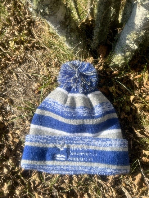 Winter Hat with insulated layer and blue/gray Stripes and Pom-Pom