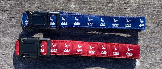 NCF Dog Collar